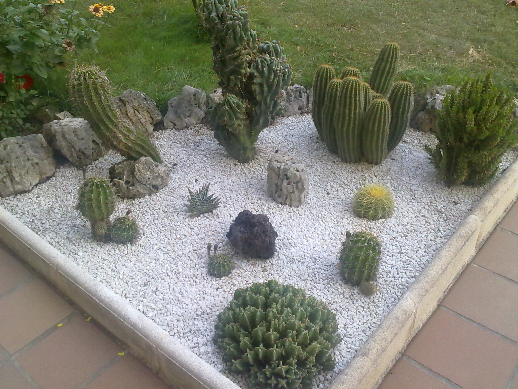 Jardin miniature extérieur